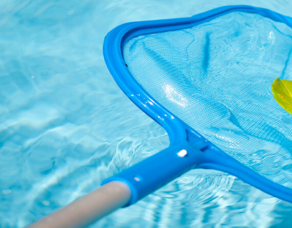 Pool valet service in action — skimming and cleaning an Auckland pool